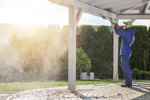 Boat and Dock Cleaning in Walsenburg, CO